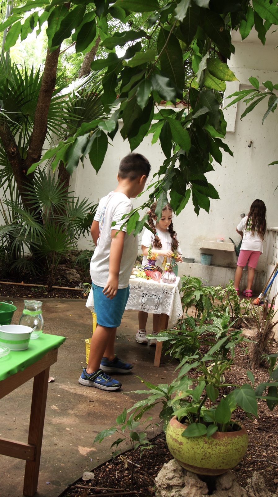 Niños trabajando con plantas en el patio arbolado de la escuela.