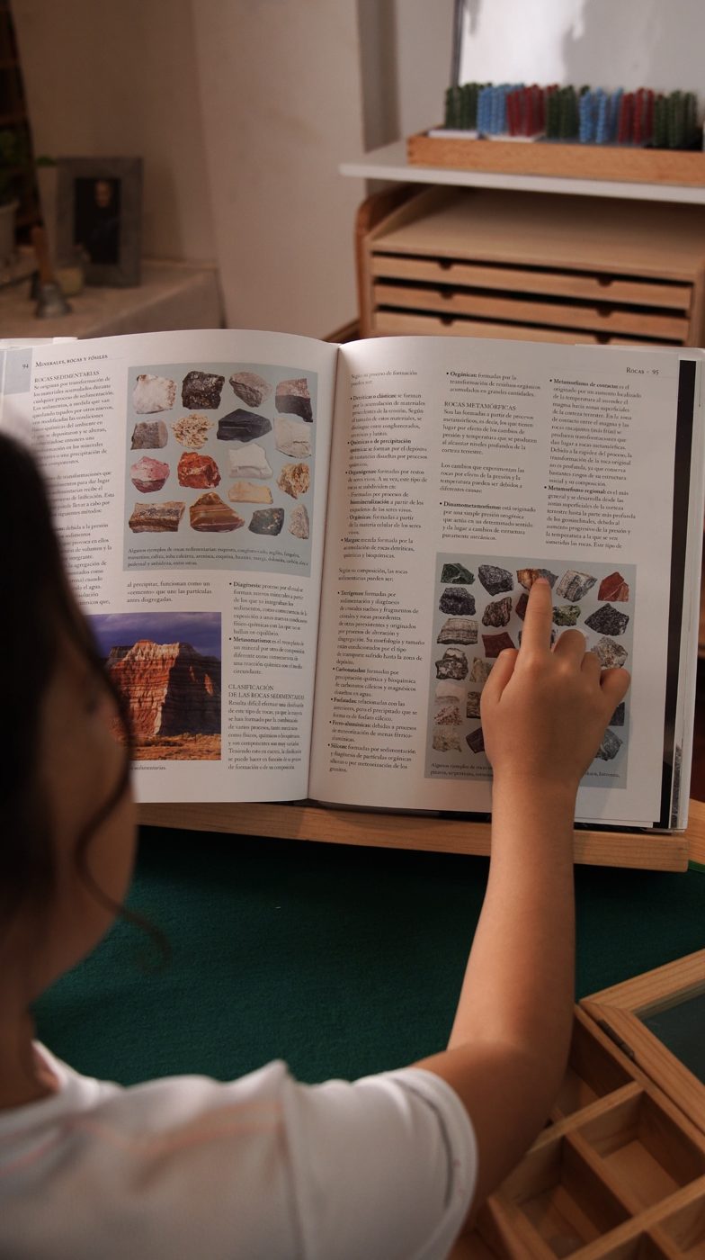Una niña señala las fotos de rocas en un libro abierto.